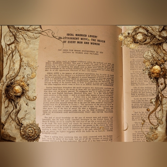 VINTAGE "PICTURE STORIES OF THE SEX LIFE OF MAN AND WOMAN" 1946 SOFTCOVER BOOK - Picture 6 of 8